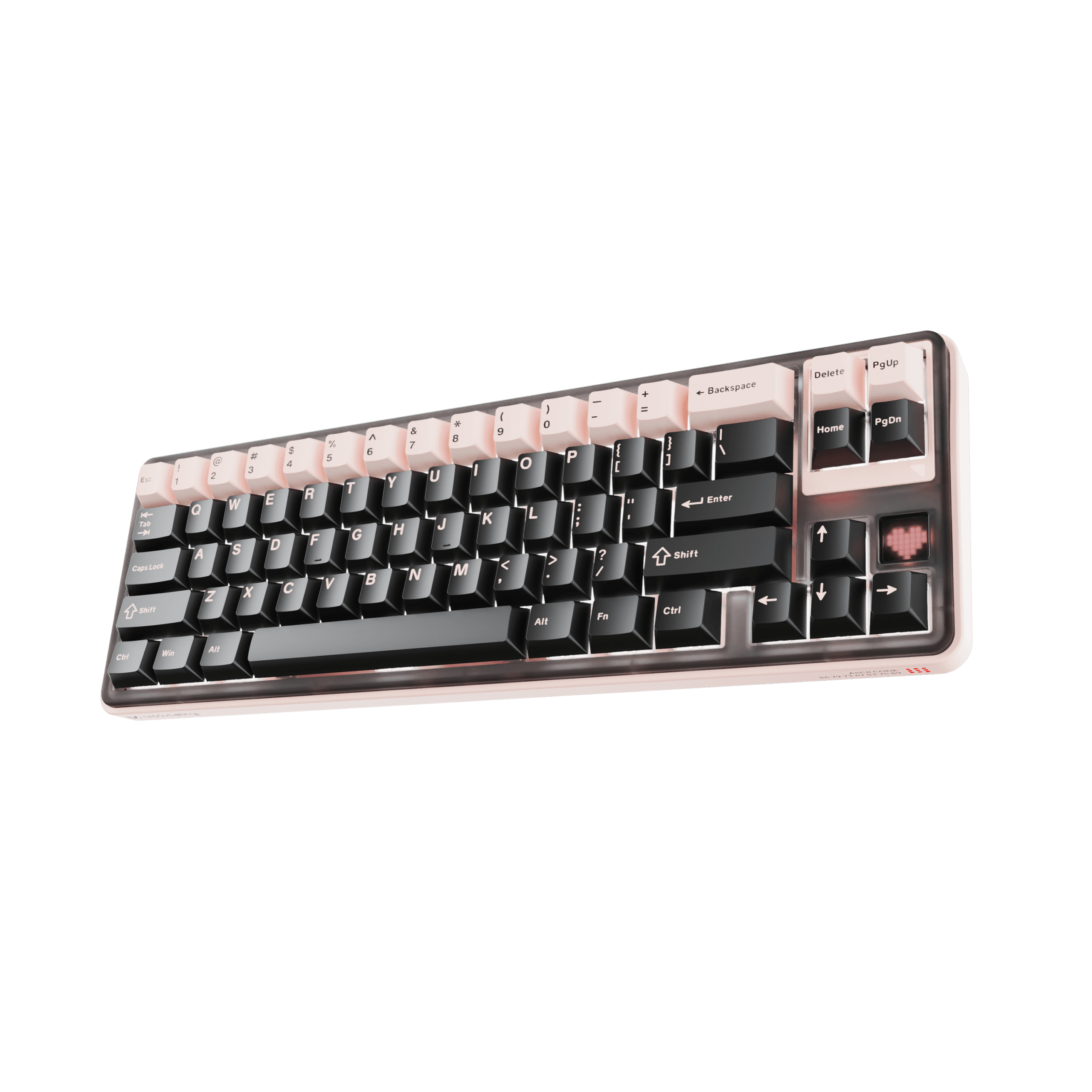 VSKY-TUNE-65-A [here_white_view]